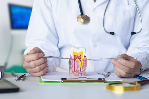 Best Broken Tooth Emergency  in Jonesville, MI